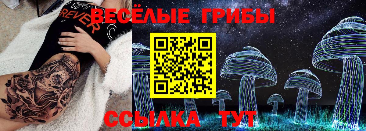 Урус-Мартан  Галлюциногенные грибы мухоморы  Галлюциногенные грибы мухоморы  Вход с VPN 