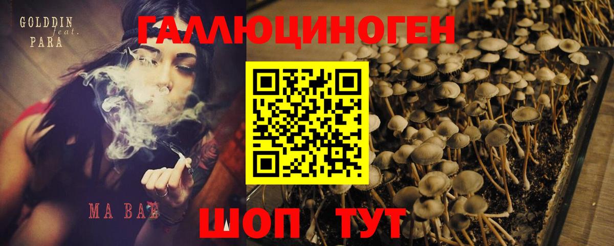 Галлюциногенные грибы мицелий Урус-Мартан